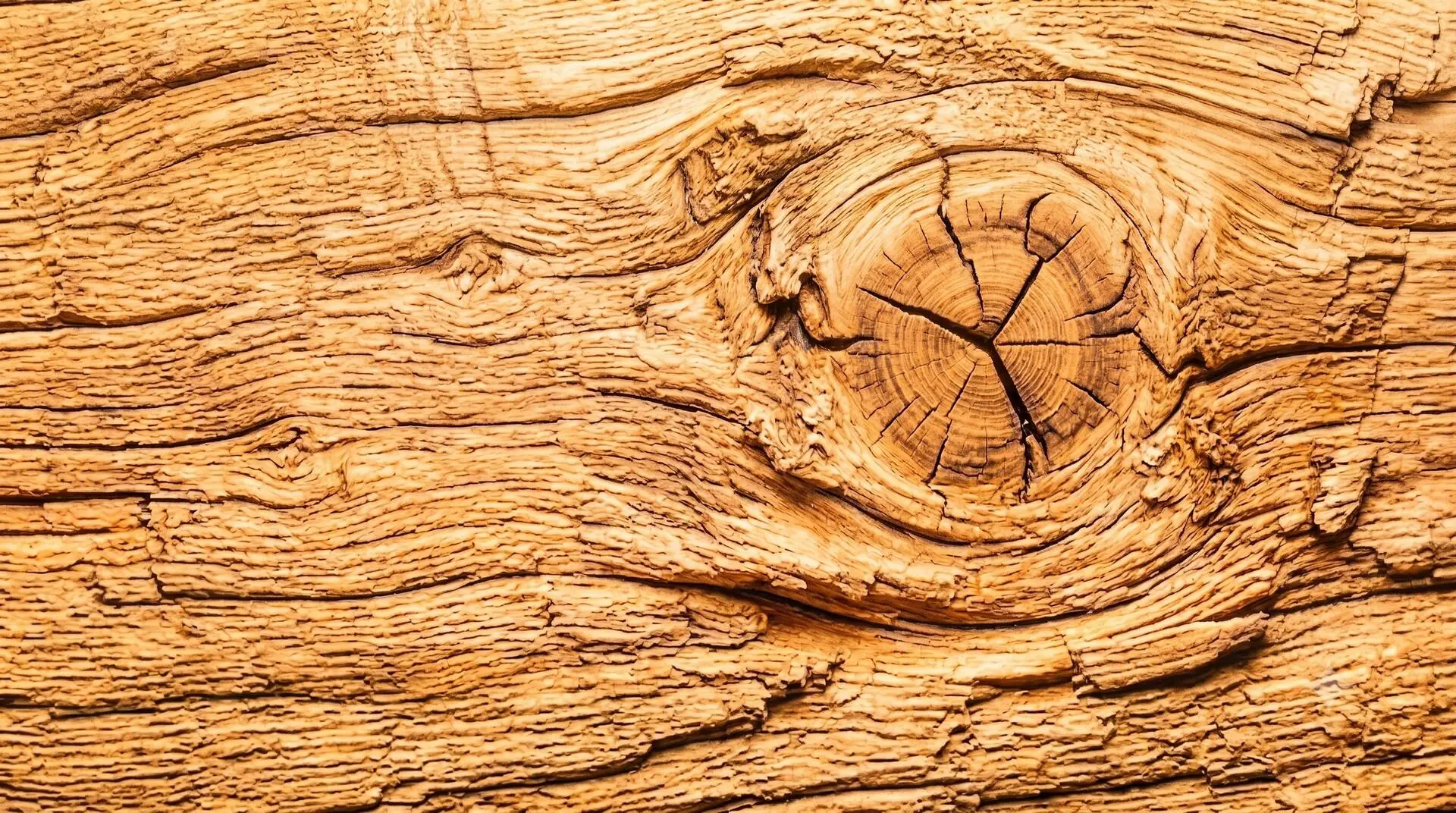 Holzmaserung – Schreinerei Hübl